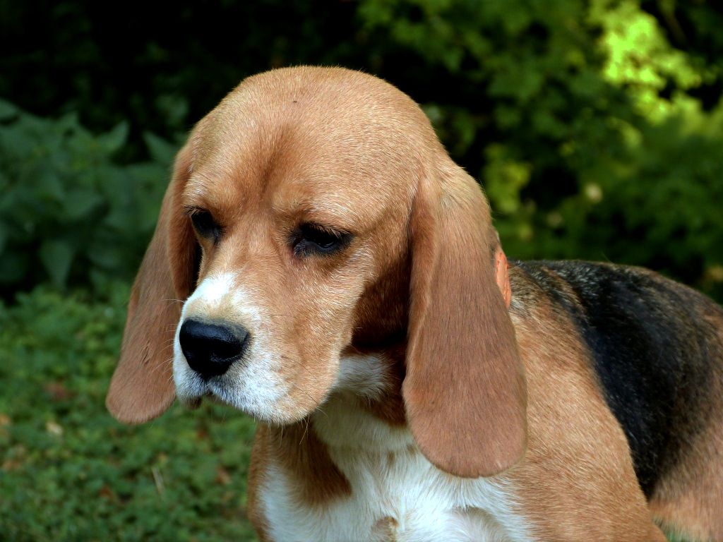 Top model de la vallée de l'empereur