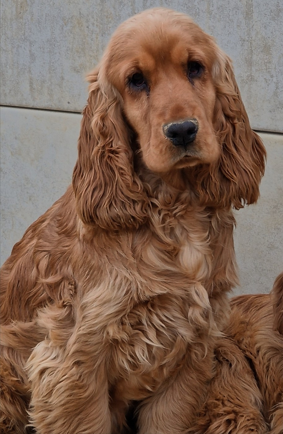 Apocalypse de la vallée de l'empereur